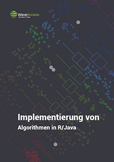 Berechnungsprojekt mit Algorithmen in R/Java Abdeckung